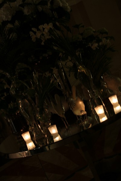 Phoenicia Earth Hour